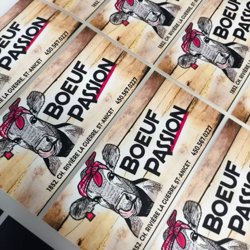 DTF- GANG SHEET Builder